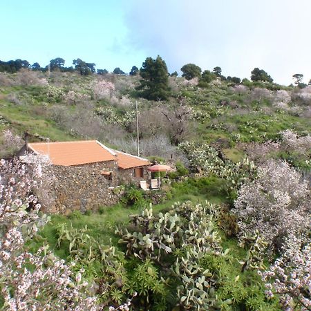 Casa Rural La Jarita El Pinar  Dış mekan fotoğraf