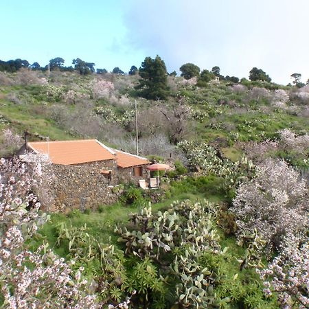 Casa Rural La Jarita Konuk evi El Pinar  Dış mekan fotoğraf