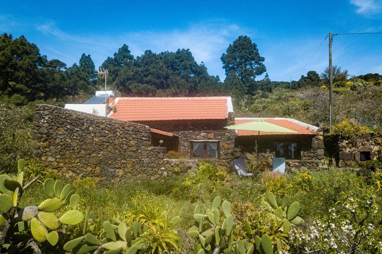 Casa Rural La Jarita Konuk evi El Pinar  Dış mekan fotoğraf