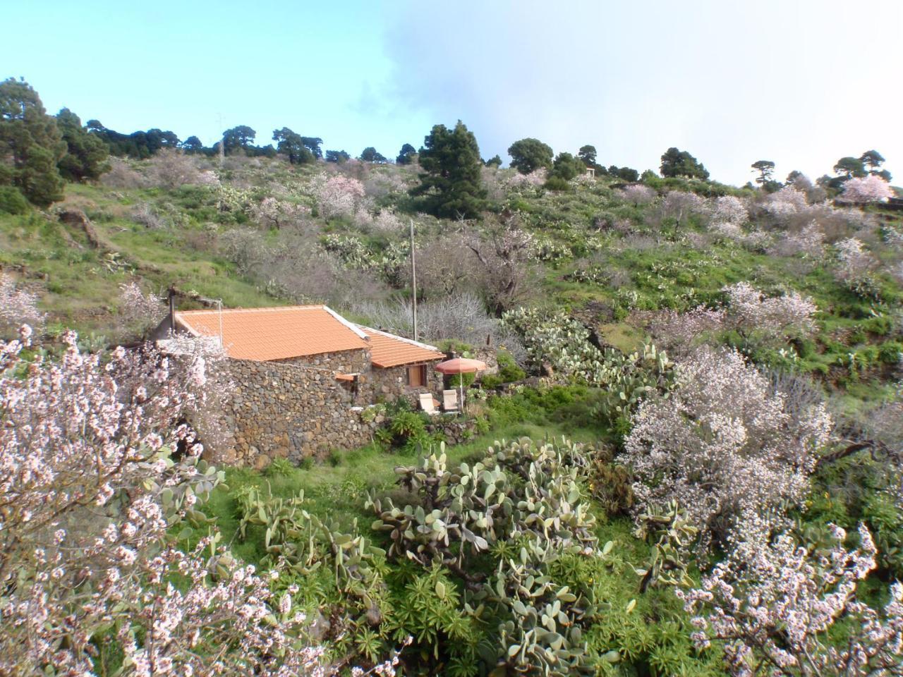 Casa Rural La Jarita Konuk evi El Pinar  Dış mekan fotoğraf