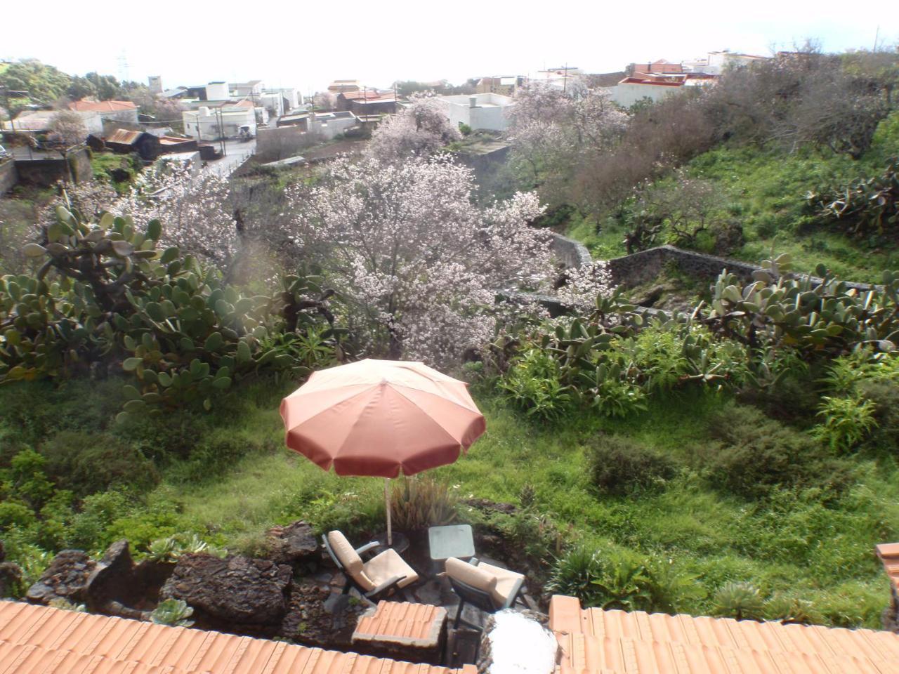 Casa Rural La Jarita Konuk evi El Pinar  Dış mekan fotoğraf